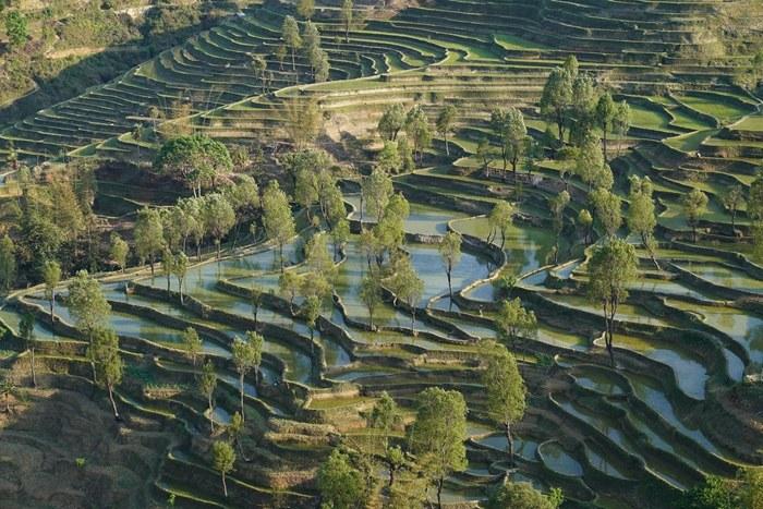 夕陽(yáng)下梯田美景如畫