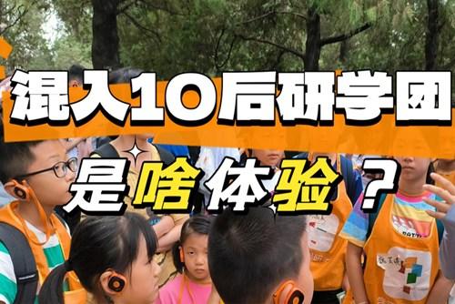 90后大齡兒童混進10后研學團，被教育了……