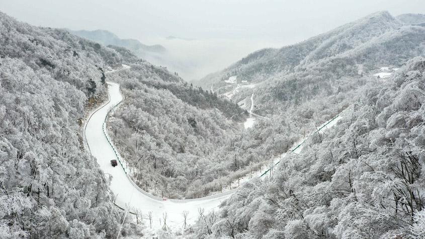 湖北?？惮F(xiàn)森林霧凇景觀 如水墨畫(huà)卷