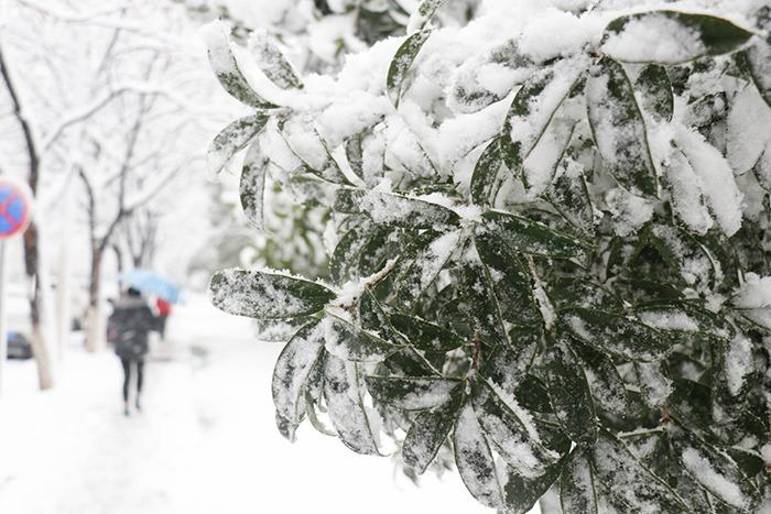 南方多地開(kāi)啟降雪模式